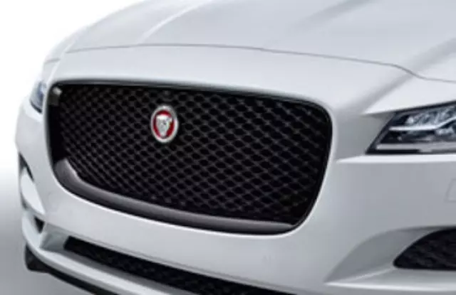 T4A6212 - Body: Grille - Gloss Black - ACC and Camera for Jaguar Image
