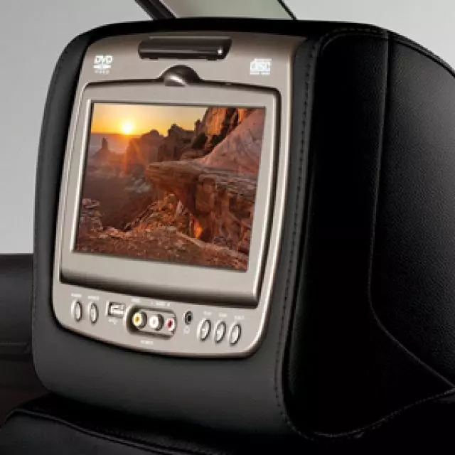 Headrest and Video Screen Assembly - GM (84263932)