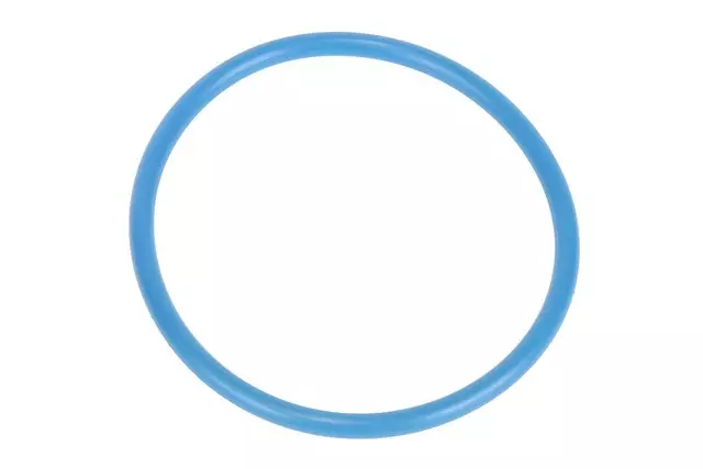 G53 - Fuel System: ACDelcoâ„¢ Fuel Pump Assembly Seal for Buick: Enclave | Cadillac: XT5 | Chevrolet: Express 2500, Express 3500 | GMC: Acadia, Savana 2500, Savana 3500 Image