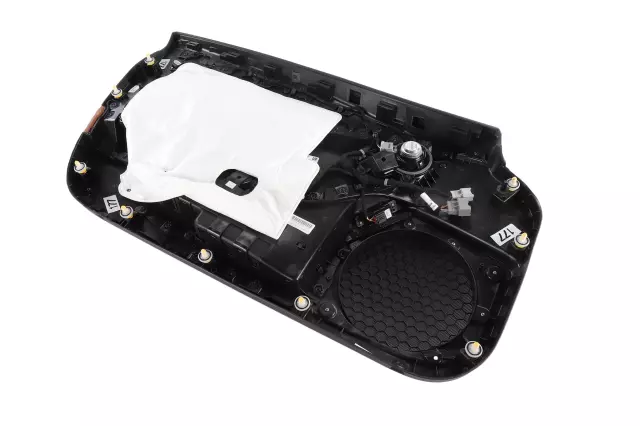 Door Trim Panel - GM (84586707)