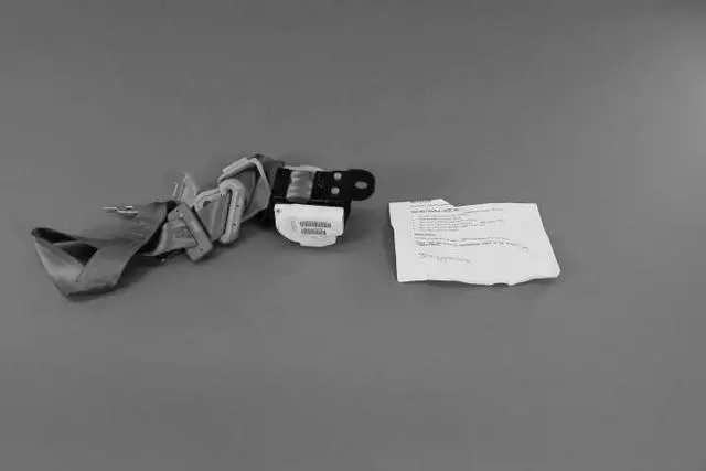 YZ571D5AE - Interior Trim: Retractor Seat Belt, Left for Chrysler: Town &amp; Country | Dodge: Caravan, Grand Caravan Image