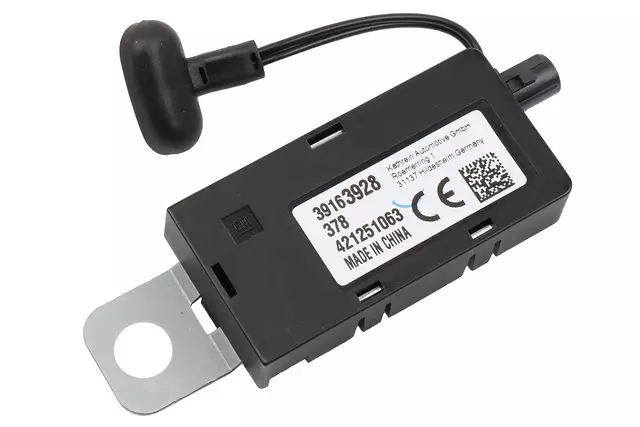 Amplifier - GM (39163928)