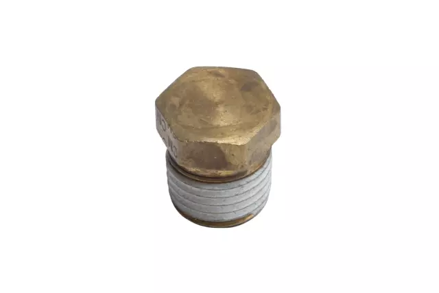 Radiator Drain Plug - GM (19130563)