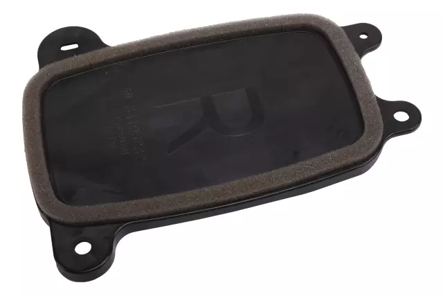 Resonator - GM (84196232)