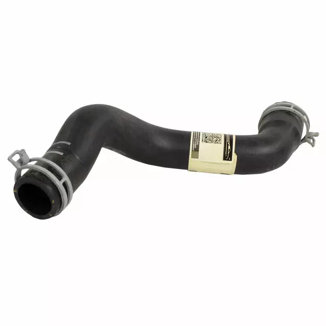 Lower Hose - Ford (CV6Z-8286-AA)