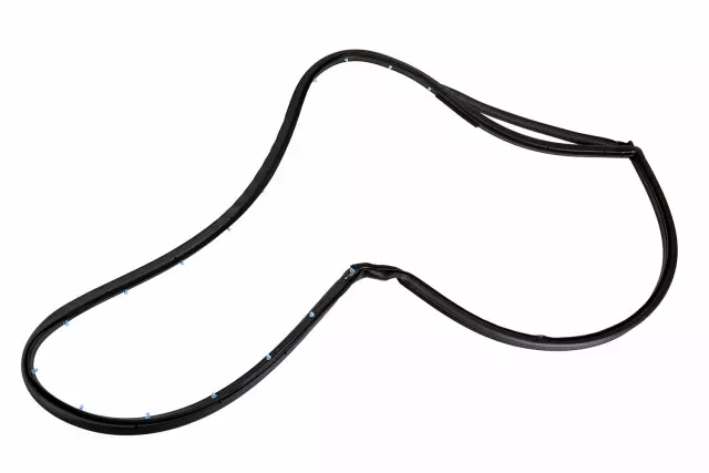 20954979 - Body: Door Weather-strip for Cadillac: CTS Image