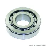 R1561TV - : Cylindrical Bearing for TIMKEN Image