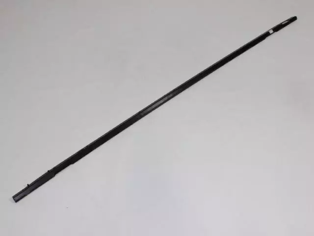 5155615AD - Exterior Ornamentation: Body Side Sill, Left for Mopar Image