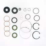 8730 - : RACK PINION SEAL KIT for Edelmann Image