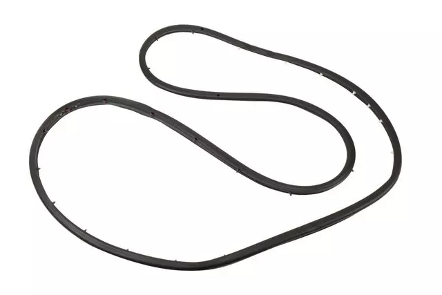 84234954 - Body: Door Weather-strip for GM Image