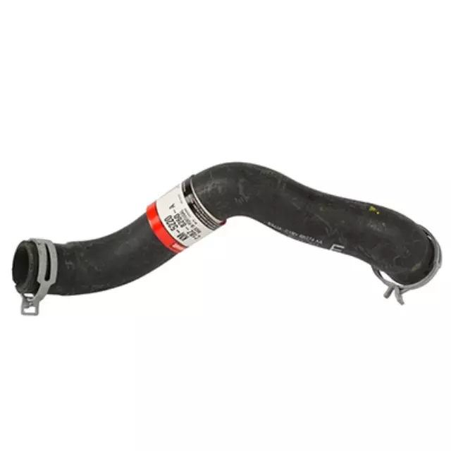 Radiator Coolant Hose - Ford (C1BZ-8260-A)