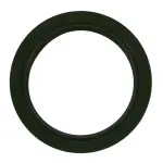 TCS46165 - : Engine Crankshaft Seal for FEL-PRO Image