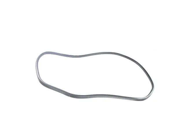 5056309AA - : Rear Door Body Mounted Weatherstrip, Right Or Left for Mopar Image