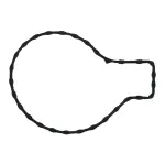 36010 - : Engine Water Pump Gasket for FEL-PRO Image