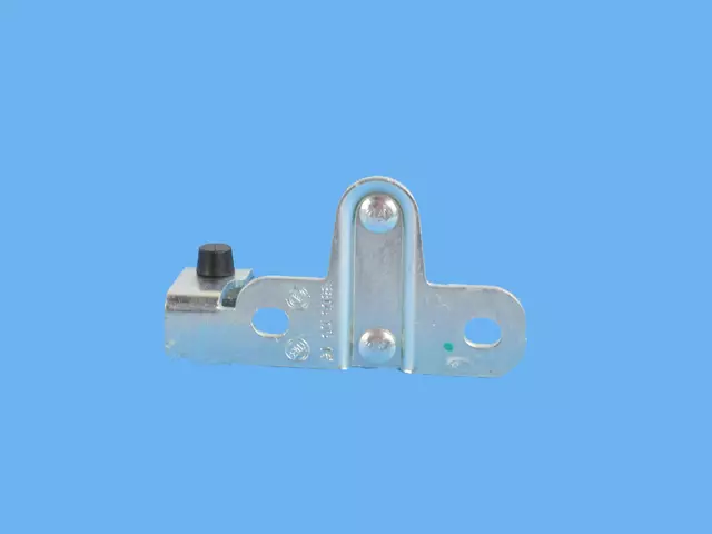 Door Latch Striker - Mopar (68169415AC)