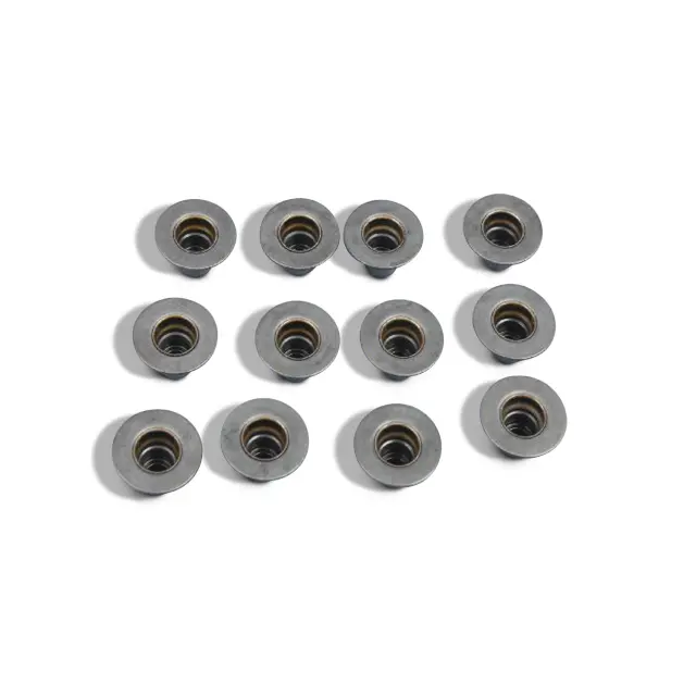53021974AA - Engine: Valve Seals for Mopar Image