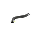 55056771AD - 5.7L HEMI Gas; Engine: Radiator Outlet Hose for Mopar Image