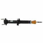 ASH24561 - Suspension: Motorcraftâ„¢ Suspension Shock Absorber for Ford: F-150 Image