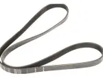 12643218 - : Serpentine Belt for Cadillac: CT5, CTS | Chevrolet: Camaro, Corvette Image