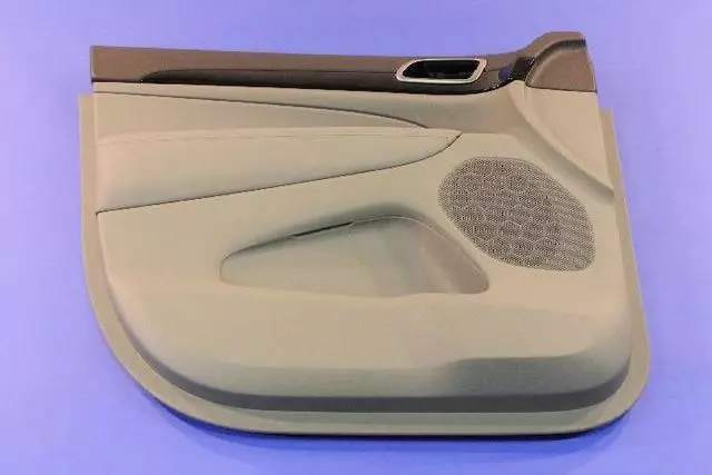 Front Door Trim Panel, Left - Mopar (1GG251D3AL)