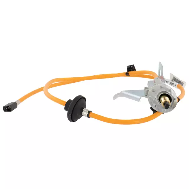 Radio Antenna Base - Ford (CK4Z-18A984-D)