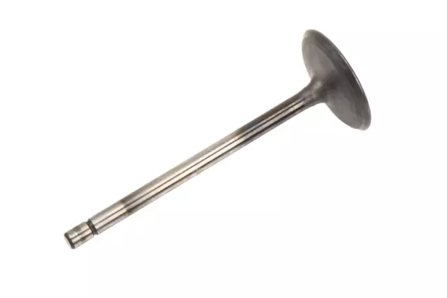 12631975 - Engine: Intake Valve for GM Image