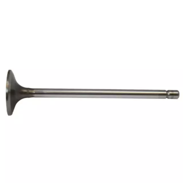 Intake Valve - Ford (3C3Z-6507-AA)