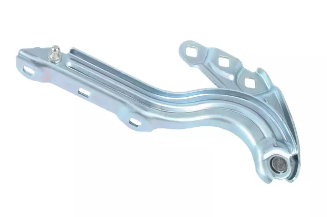 Hinge - GM (39151151)