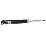 ASH24698 - : Shock Absorber Assembly for Ford: Edge Image