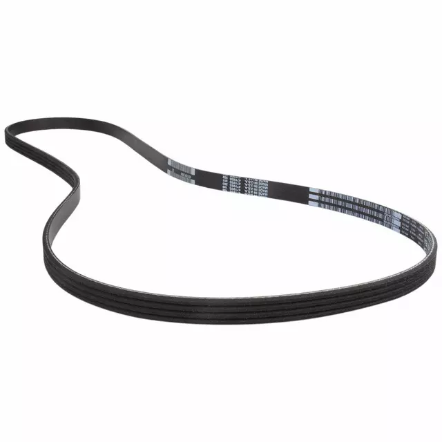 DA8Z8620G - Cooling System: Serpentine Belt for Ford: Edge, Escape, Explorer, Fusion, Special Service Police Sedan, Taurus | Lincoln: MKC, MKT, MKZ Image