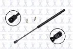 84431 - : Back Glass Lift Support for Focus Auto Parts Image