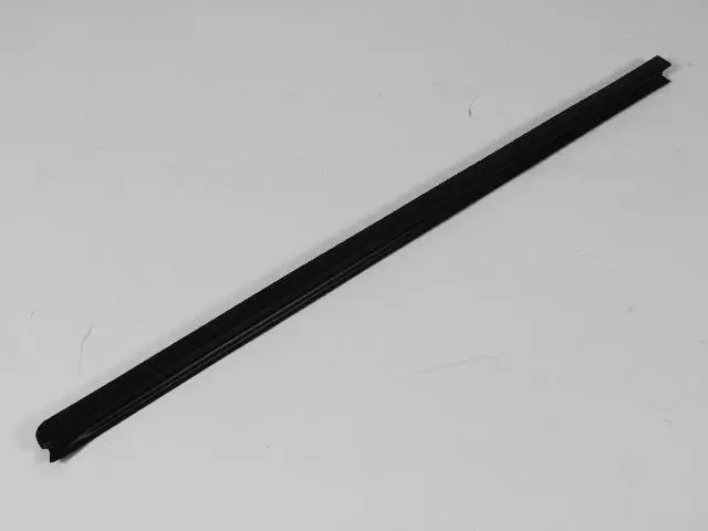 55135309AE - Body: Belt Molding for Dodge: Dakota Image