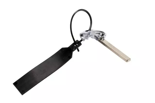 22984994 - : Door Lock and Ignition Key for GM Image