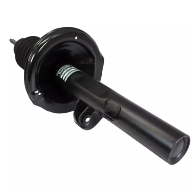 AST269 - Suspension: Strut for Ford: Five Hundred | Mercury: Montego Image