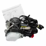 D2BZ54611B08AD - Electrical: Seat Belt Assembly for Ford: Fiesta Image