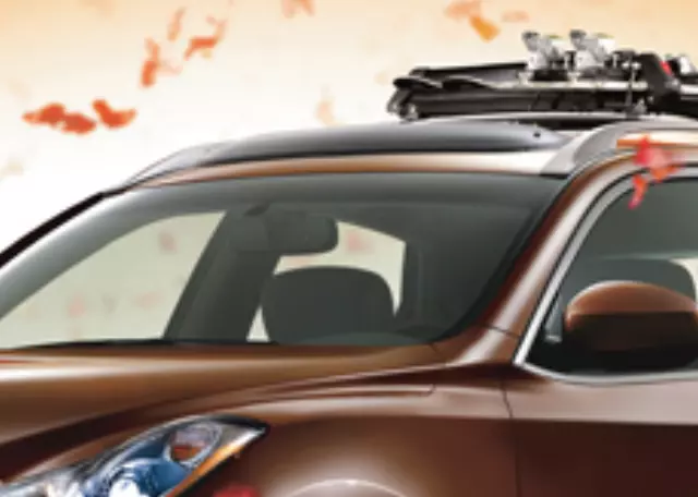 999D45U000 - : Moonroof Wind Deflector for Infiniti Image