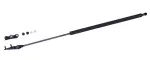 610712 - : Liftgate Lift Support for Tuff Support Image