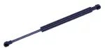 613076 - : Liftgate Lift Support for Tuff Support Image