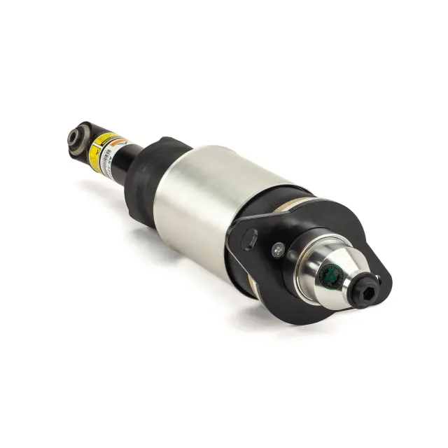 AS3231 - Suspension &amp; Steering: Arnott Air Suspension Strut for Arnott Image