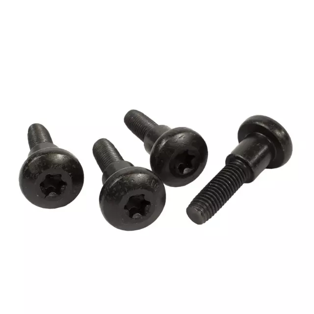 Center Buckle Screw - Ford (W708666-S900)