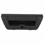 FL3Z9943400AA - Body: Handle for Ford: F-150 Image