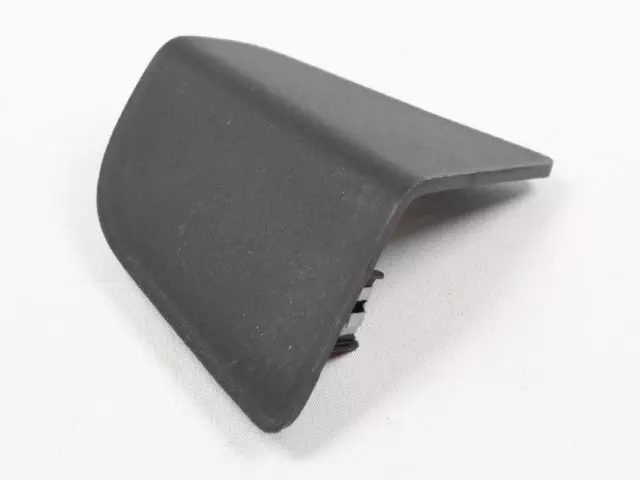 Instrument Panel Bezel - Mopar (1SE97DX9AA)