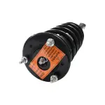 883030 - : 07-17 Lexus LS460 Suspension Strut and Coil Spring Assembly  - Rear Left for GSP Image