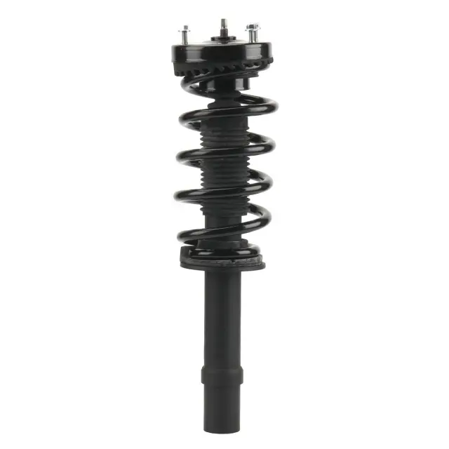 818291 - : PRT 818291 Suspension Strut and Coil Spring Assembly for PRT PERFORMANCE RIDE Image