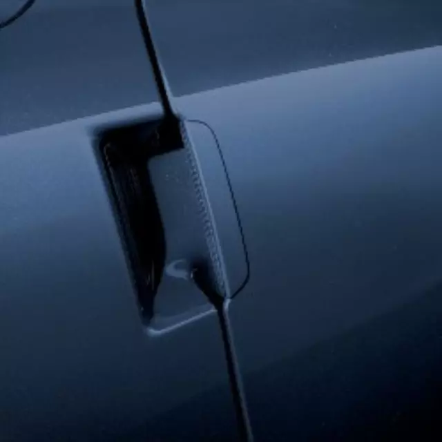 Outside Door Handles - GM (20922592)