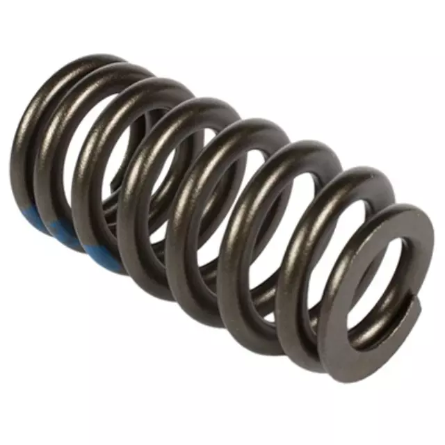 Valve Springs - Ford (CR3Z-6513-A)