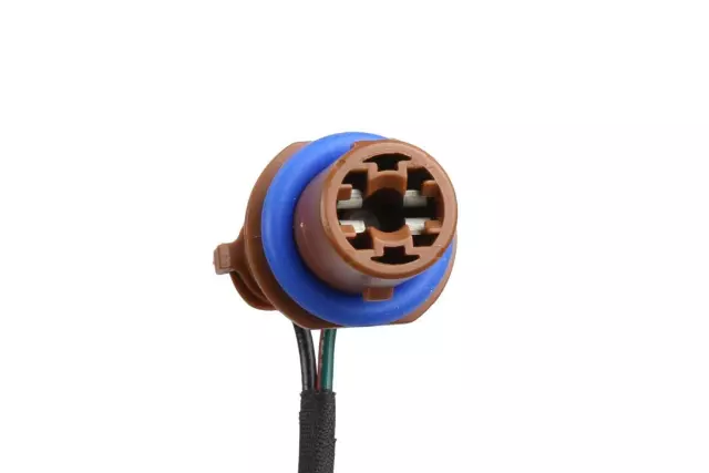 Rear License Plate Lamp Wiring Harness - GM (22800725)