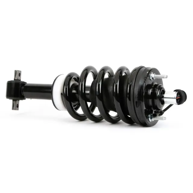 SK4261 - : Arnott Suspension Strut and Coil Spring Assembly for Arnott Image