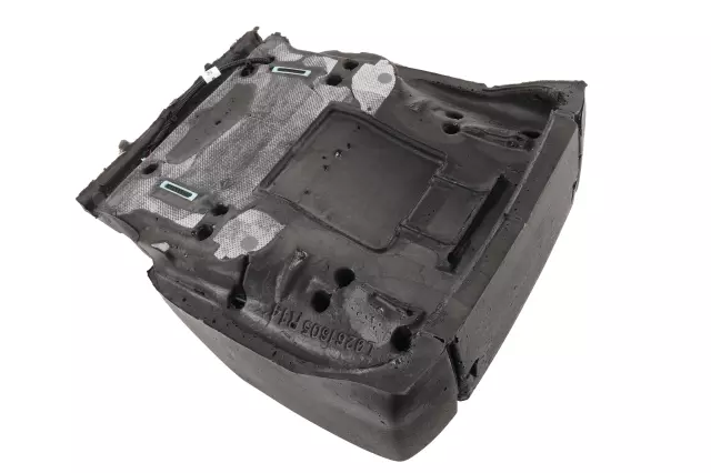 Airbag Front Passenger Presence Module with Sensor - GM (84960653)