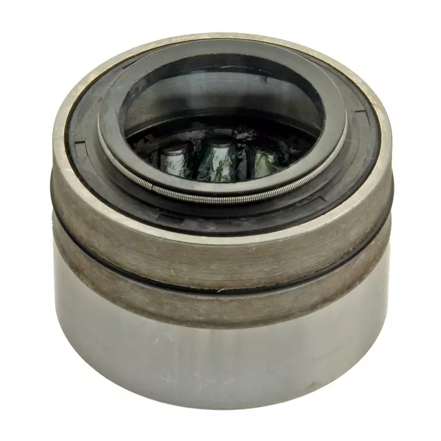 Rear Wheel Bearing - GM (19312396)